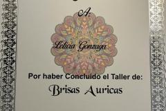 Brisas Auricas en Centro Gaia