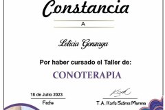 Conoterapia