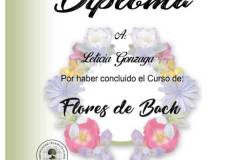 Flores de Bach